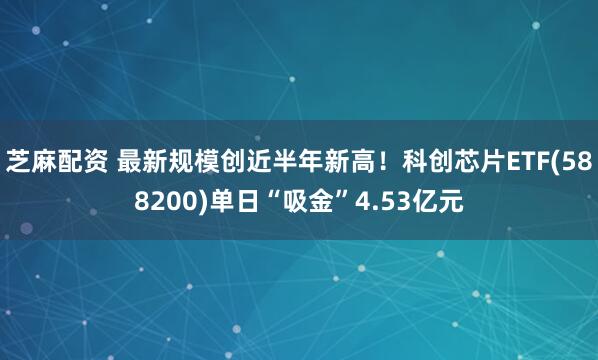 芝麻配资 最新规模创近半年新高！科创芯片ETF(588200)单日“吸金”4.53亿元
