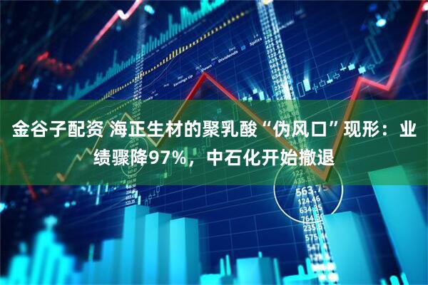 金谷子配资 海正生材的聚乳酸“伪风口”现形：业绩骤降97%，中石化开始撤退